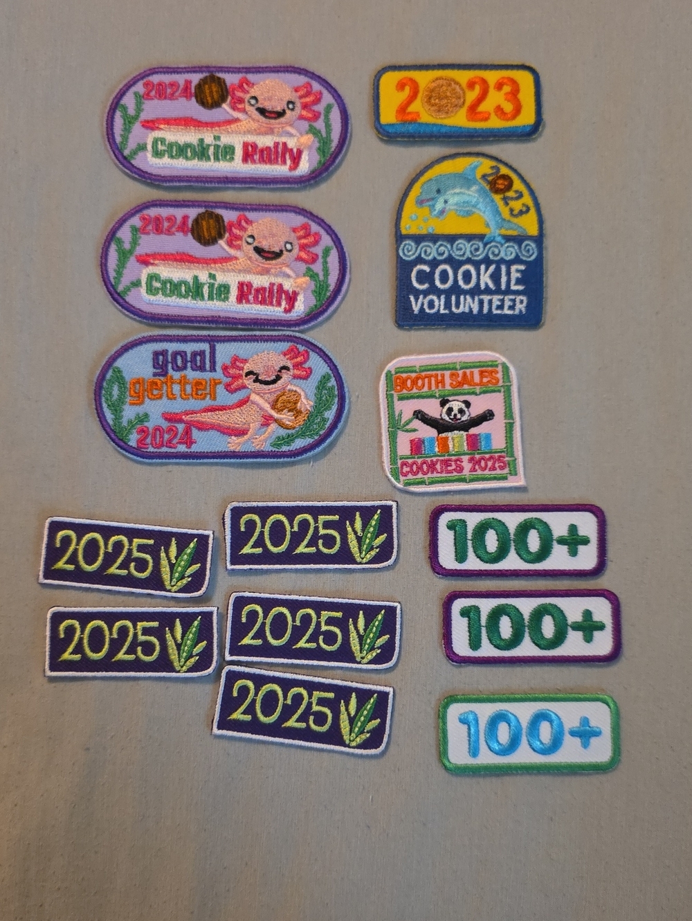 Girl Scouts Out Of Circulation Patches From Previous Years